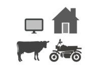 Televisor, casa, vaca y motocicleta.png