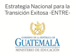 Estrategia Nacional para la Transición Exitosa - logo.png