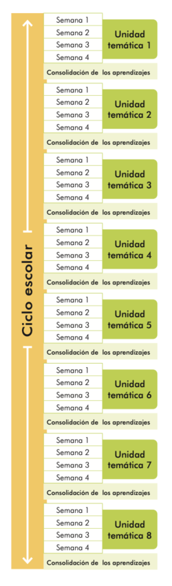 Estructura de módulos del ciclo escolar.