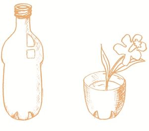 Botella y flor.jpg