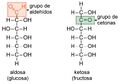 Fig 1. La glucosa y la fructosa como ejemplos de los monosacáridos.jpg