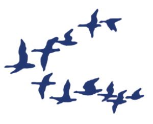 Bandada de aves - azul.png