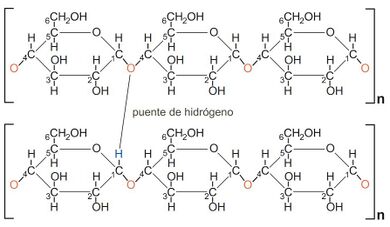 Fig 4. Extracto de una molécula de almidón.jpg