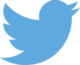 Logo de Twitter.png