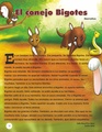 El conejo Bigotes-original.pdf