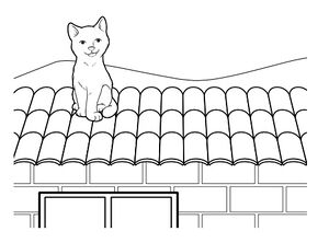 El gato está sobre el techo.jpg