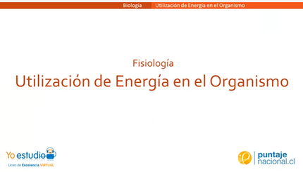 Utilización de energía en el organismo - carátula.png