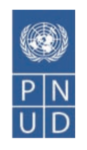 PNUD - logo.png