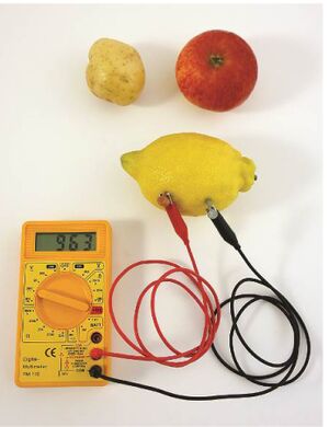 Fig 2. La medición de la tensión en una pila de fruta.jpg