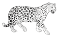 El jaguar.png