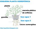 Esquema planta hidroponica.jpg
